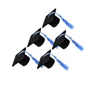 Garneck 5 Piezas Tapa de Botella de Vino Doctoral petacas de Alcohol decoración Fiesta Tapón de Botella de Vino Recipiente de Jugo Bar de de Borla Portada Doctoral Blue