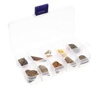 Garneck Caja de Muestras de Fósiles 10 de Antiguos Especímenes Didácticos de Paleontología Trilobites y Juguete Educativo para Niños y Decoración de Escritorio