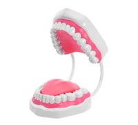 Garneck Modelo de Enseñanza de Dientes Plástico Blanco 6 Veces Agrandado, Kit Educativo para Práctica de Higiene Bucal, Demostración y Estudio Profesional para Estudiantes y Maestros