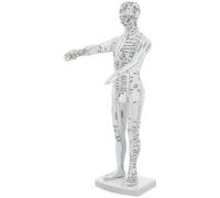Garneck Modelo Identificación Clara en Plástico Blanco de Puntos y Meridianos de Acupuntura del Cuerpo Humano para Educación y Gestión de Salud
