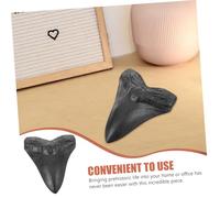 Garneck Réplicas de Dientes Megalodón Gigantes Paleontológico Realista para Decoración y Enseñanza Accesorios Educativos Fósiles para Coleccionistas y