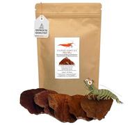 GARNELEN4YOU 20 hojas de almendro de mar de 10 a 15 cm - Hojas de acuario para camarones, cangrejos de río, caracoles y peces, tratamiento de agua y alimentación de larga duración, embalaje sostenible