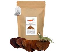 GARNELEN4YOU® Hojas de almendro de mar, Catappa | Alimento premium de larga duración y tratamiento de agua | Embalaje neutral en el clima | Camarones, cangrejos, caracoles (6-9 cm, 100 unidades)