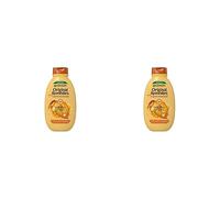 Garnier Champú Reconstituyente con Tesoros de Miel, Negro, 300 ml (Paquete de 2)