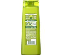 Garnier Fructis Champú Anticaspa - 380 ml | Té Verde, Sin Parabenos, Aporta y Recuperta el Brillo, Cabello Libre de Caspa, Visible Durante 6 Semanas, Fructis