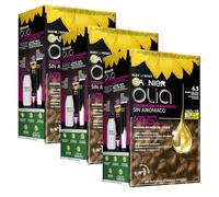 Garnier Olia Coloración Permanente sin Amoniaco, 6.3 Rubio Oscur, Pack de 3 | 60% Aceites Florales, sin Amoniaco, Color Intenso y Brillante, 100% Cobertura de Canas, Cabello Cuidado, Olia