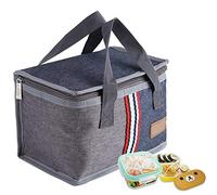 Garosa bolsa de almuerzo aislada, maletín térmico 23x15x16 cm con aislamiento para escuela trabajo y picnic