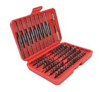 Garosa Juego de Puntas de Destornillador con Ranura Cruzada, 96 Piezas, Puntas de Acero CRV con Estuche de Almacenamiento para Reparaciones del Hogar, Mantenimiento Electrónico, Herramientas de 25