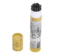 Garosa Lápices de Carbón para Dibujo Artístico Profesional, lápices de dibujo 25 piezas for artistas y estudiantes