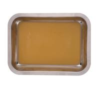 GAROZATION Bandeja de Disección de Acero Inoxidable 1 Unidad con Cera para Laboratorio Biológico, Herramienta Versátil para Anatomía y Almacenamiento en Entornos Educativos y Científicos