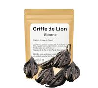 Garra de León - Planta Bicornio Seca | 100% Natural | Origen África Occidental | Beneficios Múltiples (Normal, 10, Unite)