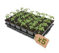 Garronda Bandeja de germinación 24 plazas con macetas Redondeadas de 0,5 L Set de 5 bandejas de Transporte de plástico para Invernadero Negro GD-0208