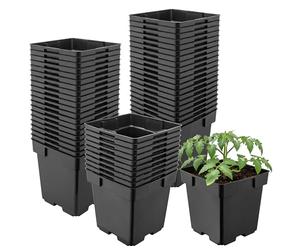 Garronda Maceta de plástico 14 x 14 x 14 cm (2L) Set de 50 Cuadrada con Orificios de Drenaje Resistente para Plantas para jardín Invernadero balcón semillero Interior Exterior Negro GD-0199
