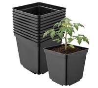 Garronda Maceta de plástico 15 x 15 x 15 cm (2,5L) Set de 10 Cuadrada con Orificios de Drenaje Resistente para Plantas para jardín Invernadero balcón semillero Interior Exterior Negro GD-0199