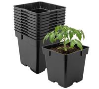 Garronda Maceta de plástico 16 x 16 x 16 cm (3L) Set de 10 Cuadrada con Orificios de Drenaje Resistente para Plantas para jardín Invernadero balcón semillero Interior Exterior Negro GD-0199