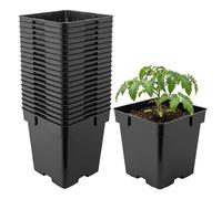 Garronda Maceta de plástico 16 x 16 x 16 cm (3L) Set de 20 Cuadrada con Orificios de Drenaje Resistente para Plantas para jardín Invernadero balcón semillero Interior Exterior Negro GD-0199