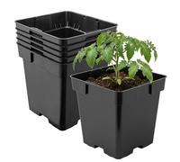 Garronda Maceta de plástico 16 x 16 x 16 cm (3L) Set de 5 Cuadrada con Orificios de Drenaje Resistente para Plantas para jardín Invernadero balcón semillero Interior Exterior Negro GD-0199