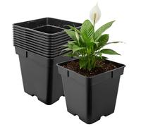 Garronda Maceta de plástico 18 x 18 x 18 cm (4L) Set de 10 Cuadrada con Orificios de Drenaje Resistente para Plantas para jardín Invernadero balcón semillero Interior Exterior Negro GD-0199