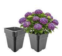 Garronda Maceta de plástico Alta 30,5 x 30,5 x 31 cm (18 L) Set de 5 Cuadrada con Orificios de Drenaje Maceta de PP para jardín Invernadero balcón Cultivo Interior y Exterior Negro GD-0201