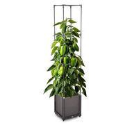 Gartenwelt Riegelsberger Macetero con 4 niveles, 30 x 30 x 164 cm, para plantas trepadoras, tomates