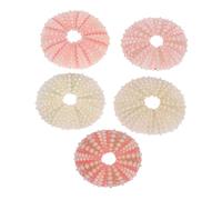 GARVALON 5 Piezas Conjunto de Conchas Naturales de Erizo Marino Decorativas para Acuarios y Manualidades DIY con Suaves y Colores Atractivos para Decoración y Refugio de Peces