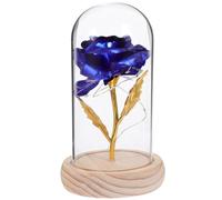 GARVALON - Lámpara LED decorativa de color rosa eterna azul bajo cúpula de cristal, flor conservada artesanal sin pilas, adorno floral para decoración interior, presente romántica para pareja,