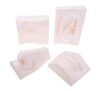 GARVALON Modelo de Órganos Sensoriales de PVC Flexible Resistente Conjunto de 4 Piezas para Dibujo y Escultura Artística Decoración para Hogar y Práctica de Bocetos Tamaño Compacto