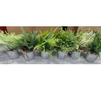 Garvee 6 Piezas Plantas Artificiales Pequeñas con Maceta Decoración Hogar