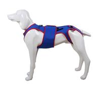 Garvee Arneses ortopédicos Dorsal para Gato - Soporte de Columna, Ayuda de Recuperación IVDD/Artritis, Alivio del Dolor - Ropa Protector - Azul - XL - Espalda 48 cm, Pecho 60-70 cm