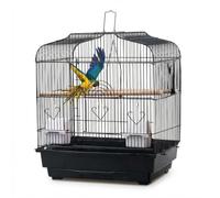 Garvee Jaula de viaje para pájaros con perchas, cuencos de comida, columpio, jaula portátil para loros con asa para loros pequeños, canarias, cacatúas, tortolitos, pinzones, periquitos, conures, 46 x