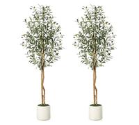Garvee Olivo Artificial de 150 cm con Tronco Natural y Frutos Realistas - Planta Falsa para Decoración de Hogar, Oficina y Salón - Maceta Blanca con Musgo Incluida - 2pcs