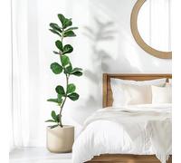 Garvee Planta Artificial Ficus Lyrata, Higuera Lira de 150 cm con Maceta Incluida, Árbol Decorativo de Plástico Realista para Interior Salón Hogar y Terraza Exterior