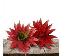 Garvee Plantas Artificiales Agave, 22 Hojas, Rojo, 2 Piezas