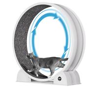 Garvee Rueda de Ejercicio para Gatos de ABS con Pantalla Digital Inteligente, Cinta de Correr para Gatos Silenciosa con Contador de Calorías y Distancia, Juguete de Fitness Felino de Alta Gama, Blanco
