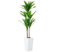 GarveeLife Planta Artificial de 147 cm, Planta Artificial en Maceta con Maceta Blanca, Planta de Interior Decorativa para el hogar, Oficina, salón, Resistente a la Intemperie, para Exteriores
