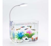 GarveeMore Acuario de Iniciación, Pecera de Cristal con Luz de Clip, Filtro de Pared y Base Antideslizante para Bettas y Peques Peces, Fácil Limpieza, Ideal para Salón u Oficina, 12,5×7,5×10,5cm