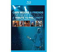 Gary moore & friends [Reino Unido] [Blu-ray]