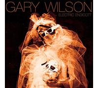 Gary Wilson - Electric Endicott