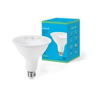 Garza - Bombilla LED Reflectora Verde E27 de 16 W para exterior, bombilla PAR38, luz verde decorativa, alta intensidad, impermeable IP65