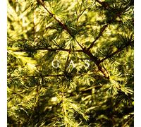 Stravinsky : Trois Mouvements de Pétrouchka, LOiseau de Feu