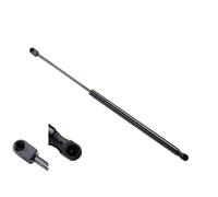 Gasfeder 1x Para Renault Scenic II 06/03 Soporte Abatible Portón