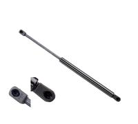 Gasfeder 1X Para VW Golf V 1K 5M 10/2003-05/2009 Soporte Abatible Portón Trasero