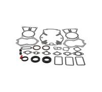 Gasket Set with Seals 25 755 37-S Replacement Fit for Kohler M18 M20 KT17 19 21