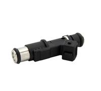 Gasolina inyector Boquilla Inyector de combustible de gasolina para Pe&ugeot 206 307 406 407 607 806 807 para Expert 20/16V 1984E2 01F003A 1984.E2 348004 75116328 0280156328