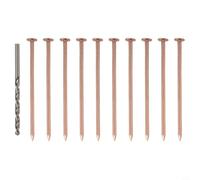 Gastagrav Clavos de cobre puro, para matar árboles y quitar tocones, árbol de 3.15 pulgadas para picos asesinos de raíces, con broca, hardware fácil de usar para plantas no deseadas