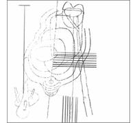 Gastr Del Sol - Camofleur [Vinilo]