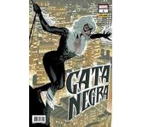 Gata negra 1