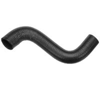 GATES 05-3311 Tubería de radiador Compatible con MERCEDES-BENZ W111 Cabrio W111 W111 Coupé W111 HECKFLOSSE W111, W112, AUDI 100 C1 Sedán 801, 803, 805, 807, 811, 813, F104 100 C1 Coupé 817, FORD