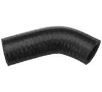 GATES 05-4769 Tubería de radiador Compatible con JEEP Grand Cherokee I ZJ, ZG, FORD Ranger Mk2 ER, EQ, R Ranger ET, FORD USA MUSTANG Coupé, DODGE RAM 1500 Pick-up D1, DC, DH, DM, DR
