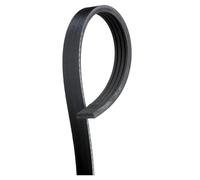 Correa poly V GATES 4PK885